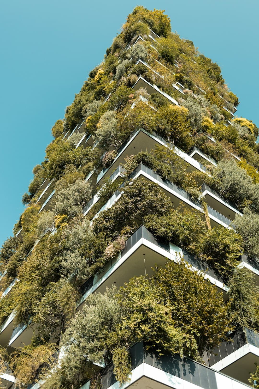 Green building with plants